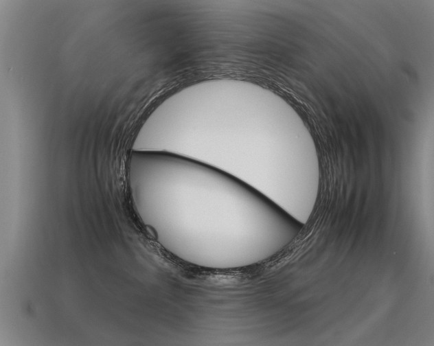 X0000115640236200911101102