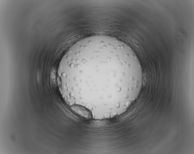 X0000115640238200911101102