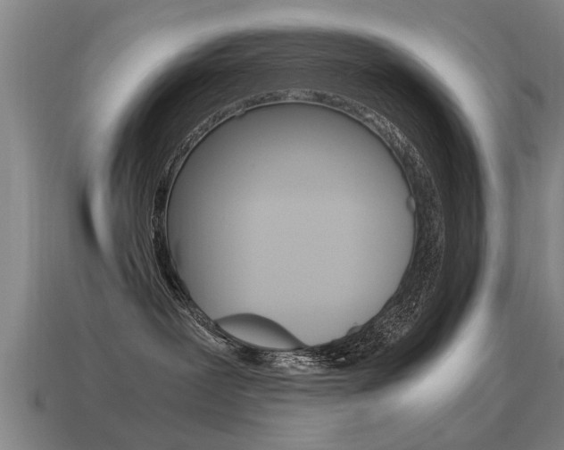 X0000115640239200911101102
