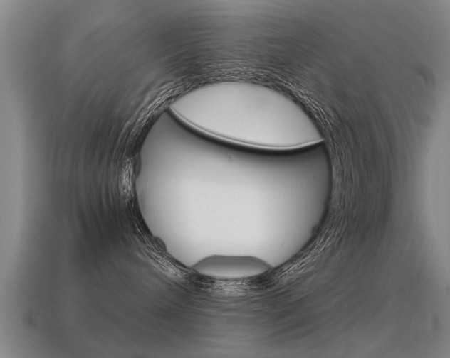 X0000115640240200911101102