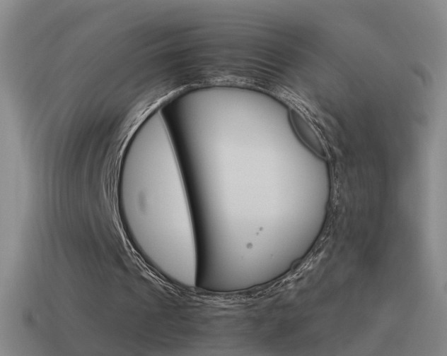 X0000115640241200911101102