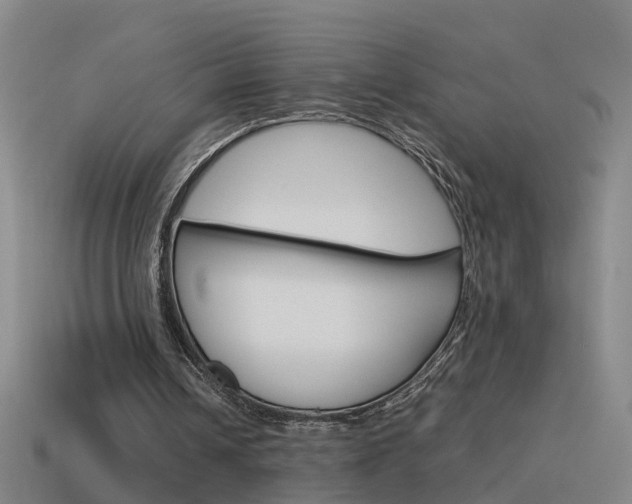 X0000115640242200911101102