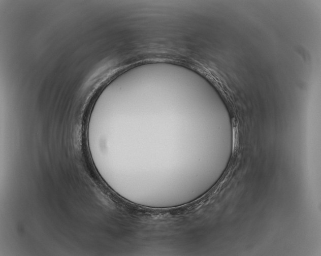 X0000115640243200911101102