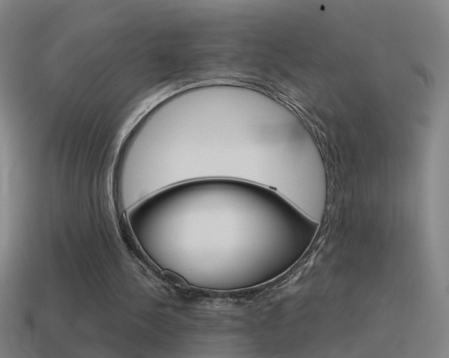 X0000115640244200911101102
