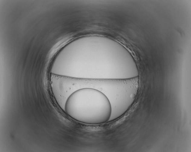 X0000115640245200911101102