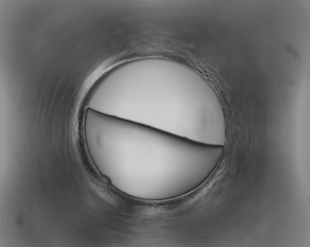 X0000115640246200911101102
