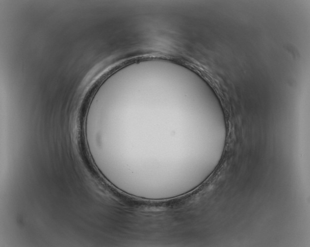 X0000115640247200911101102