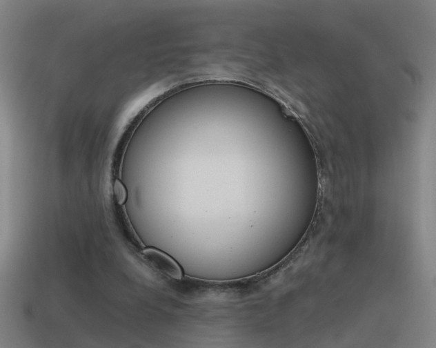 X0000115640248200911101102
