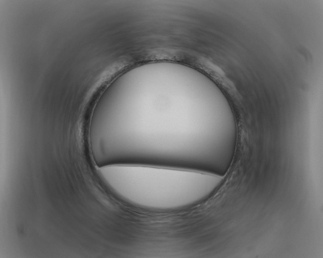 X0000115640250200911101102