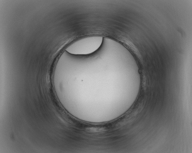 X0000115640251200911101102