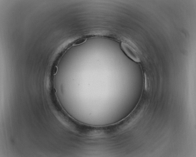 X0000115640252200911101102