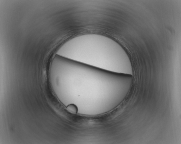 X0000115640254200911101102