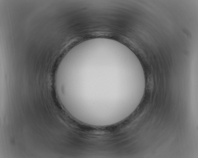X0000115640255200911101102