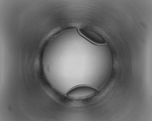 X0000115640256200911101102