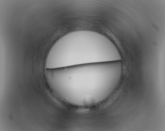 X0000115640257200911101102