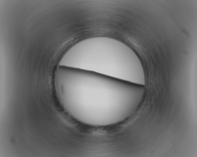 X0000115640258200911101102
