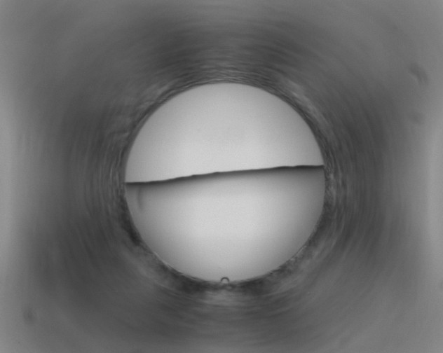 X0000115640259200911101102