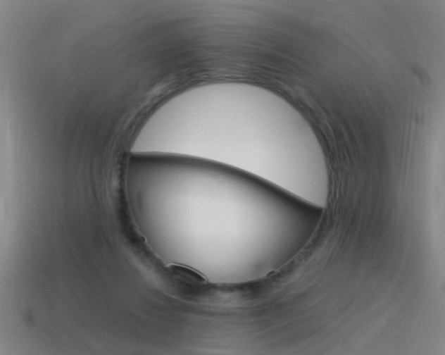 X0000115640260200911101102