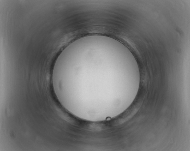 X0000115640261200911101102