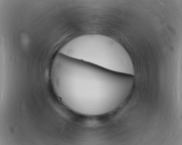 X0000115640262200911101102