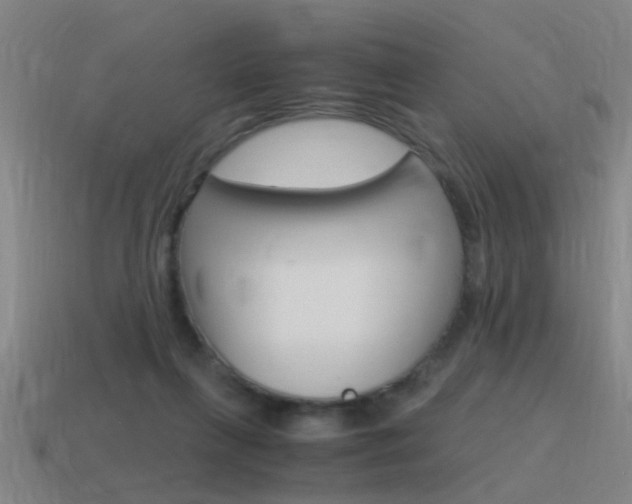X0000115640263200911101102