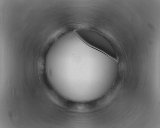X0000115640264200911101102