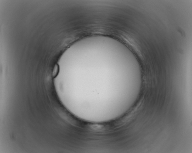 X0000115640265200911101102