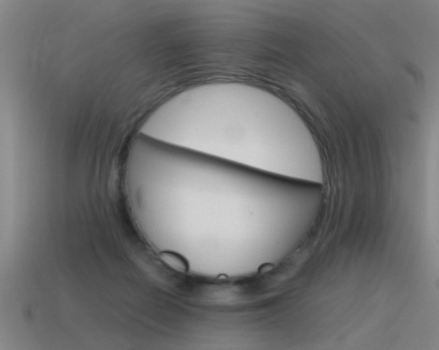 X0000115640266200911101102