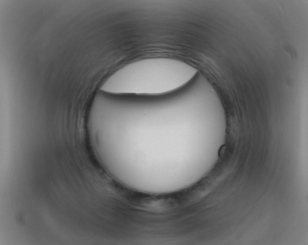 X0000115640267200911101102