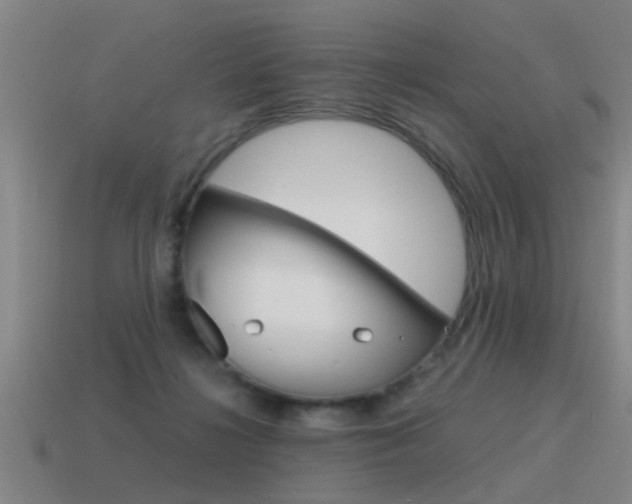 X0000115640268200911101102