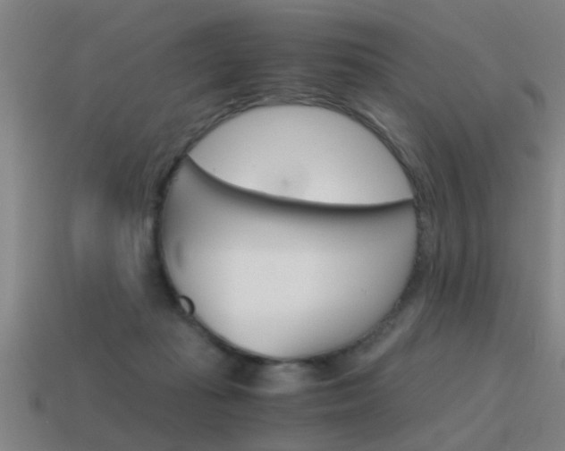 X0000115640269200911101102