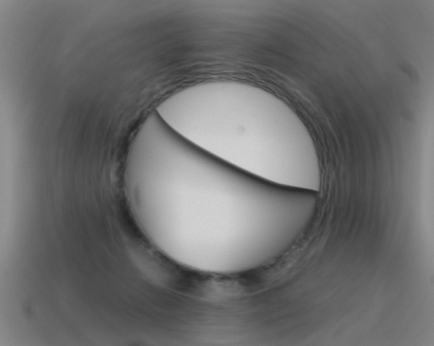 X0000115640270200911101102