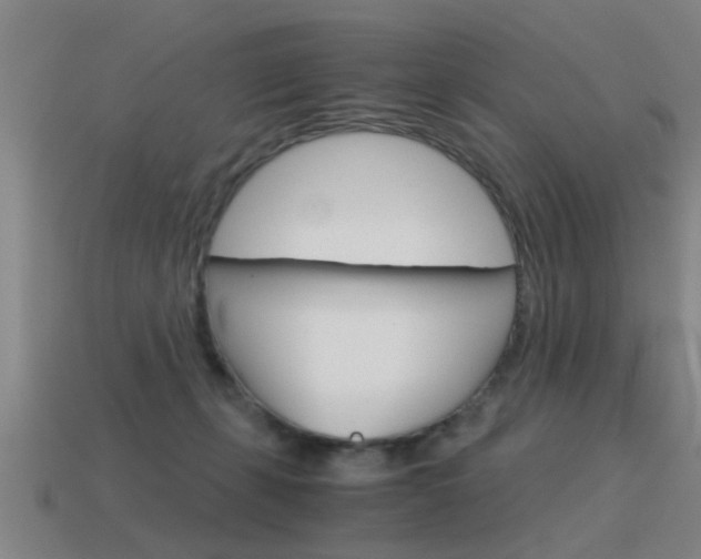 X0000115640271200911101102