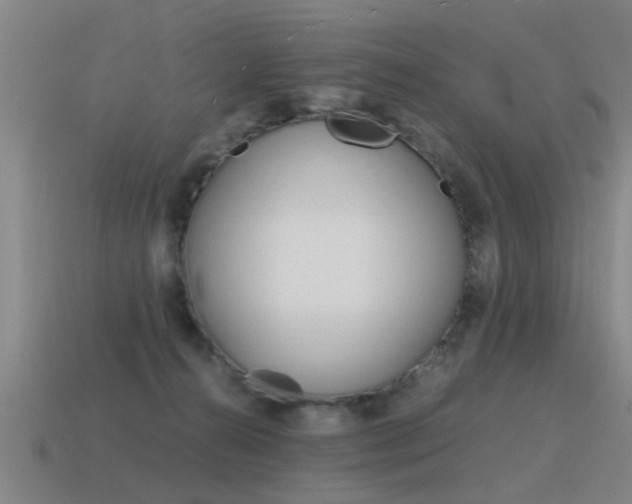 X0000115640272200911101102