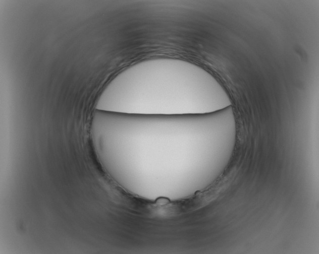 X0000115640273200911101102