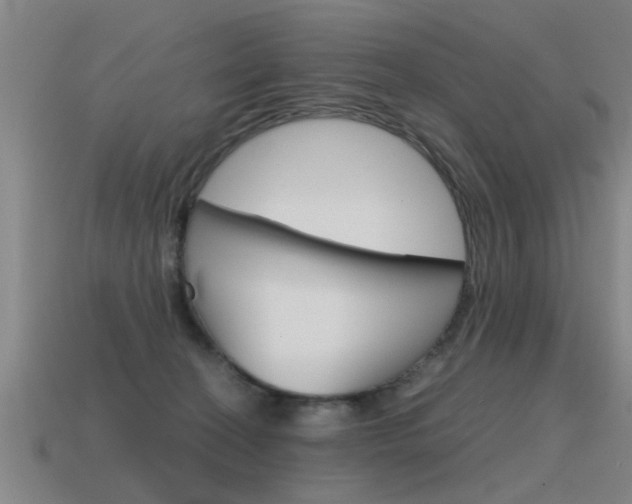 X0000115640274200911101102