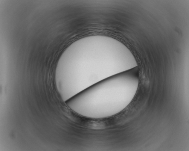 X0000115640275200911101102