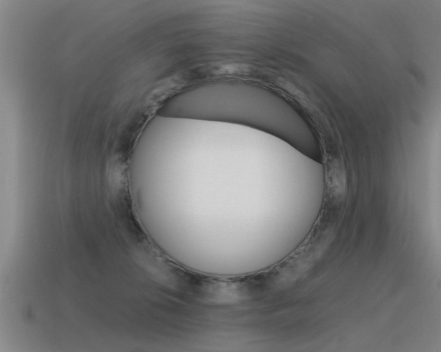 X0000115640276200911101102