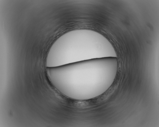 X0000115640277200911101102
