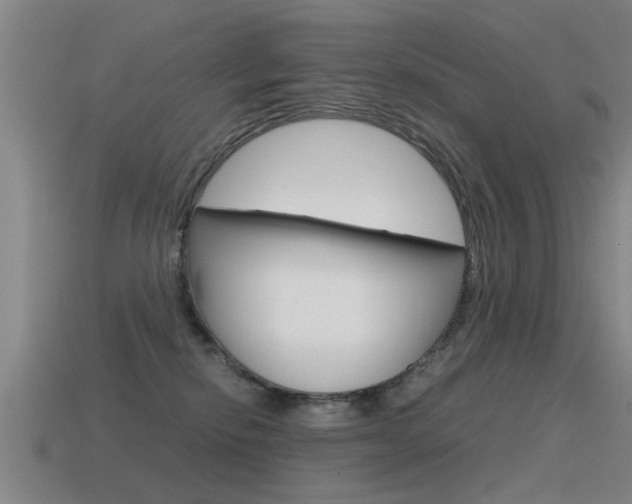 X0000115640278200911101102
