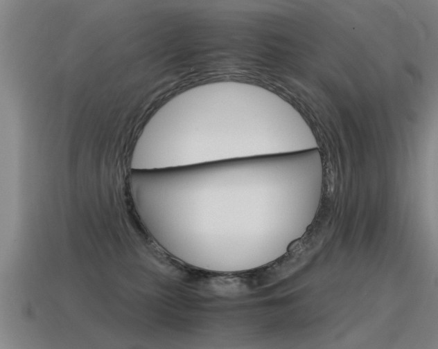 X0000115640279200911101102