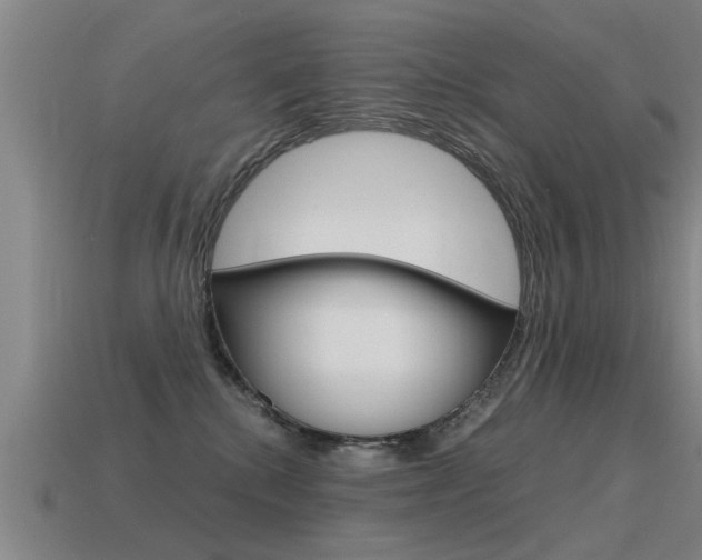 X0000115640280200911101102