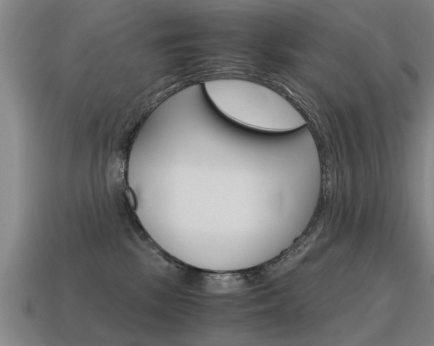 X0000115640281200911101102