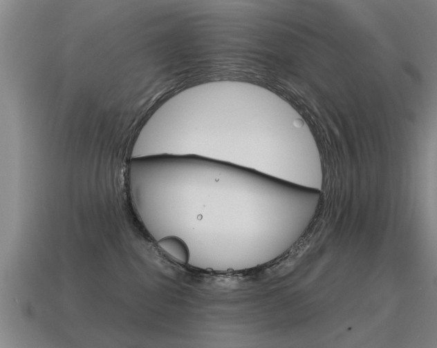 X0000115640282200911101102