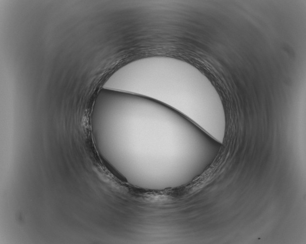 X0000115640284200911101102