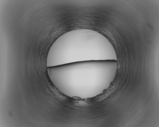 X0000115640285200911101102