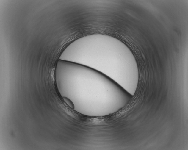 X0000115640286200911101102