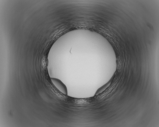 X0000115640287200911101102