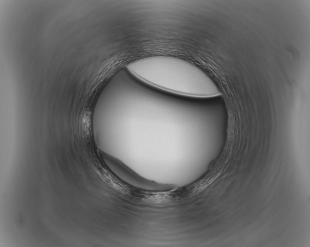 X0000115640288200911101102