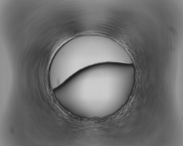 X0000115640289200911101102